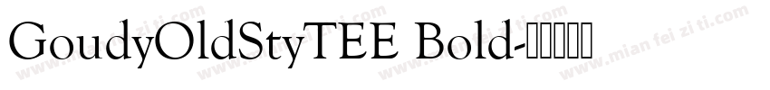 GoudyOldStyTEE Bold字体转换